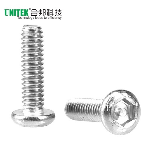 盤頭內(nèi)六角防盜機(jī)螺絲